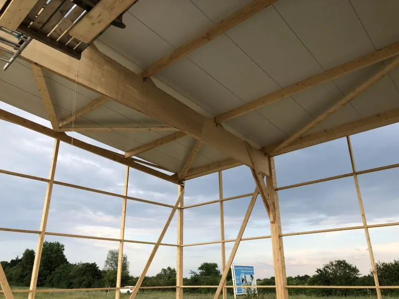 Charpente bois d'un hangar agricole avec sous-face de toiture blanche